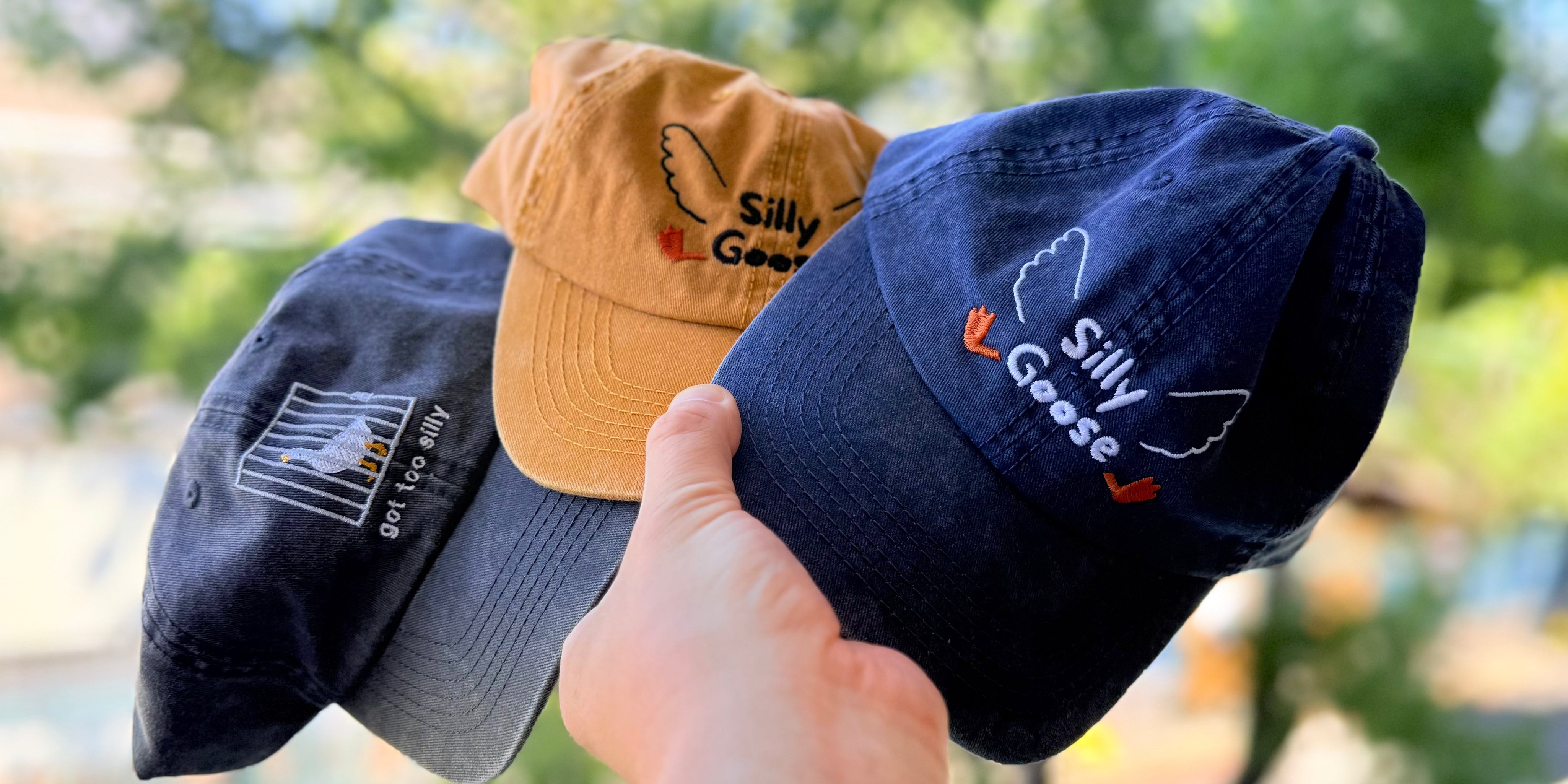 Got Too Silly Collection