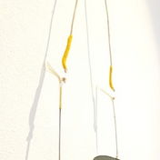 Sunglasses Strap
